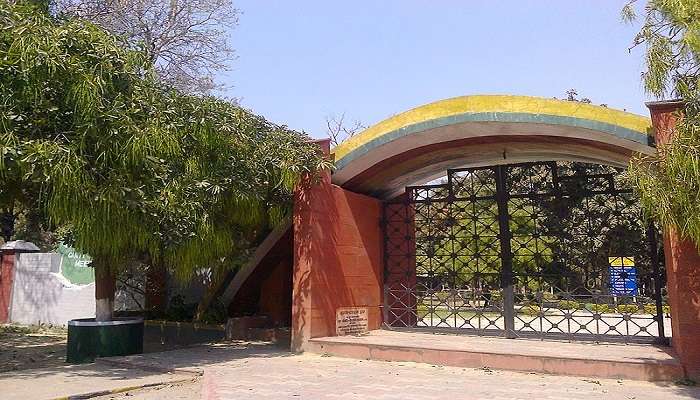 Stroll through Gandhi Bagh, a top-notch park among the best places to visit near Noida