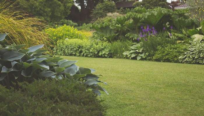 Byrappa garden in the clear morning at Vidyaranyapuram