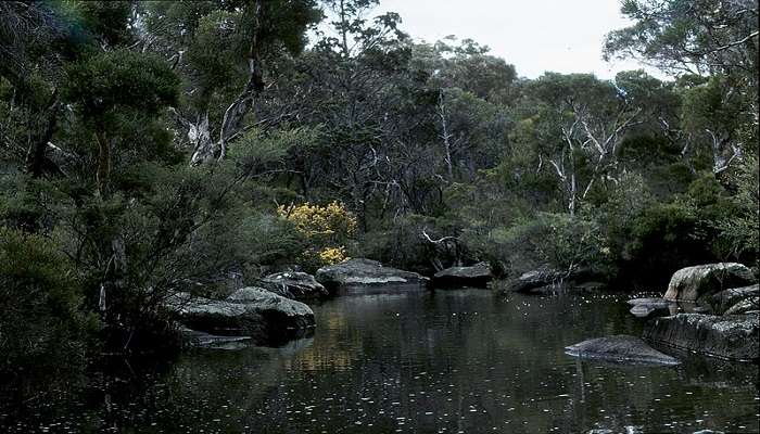 Beautiful River View at Girraween National Park.