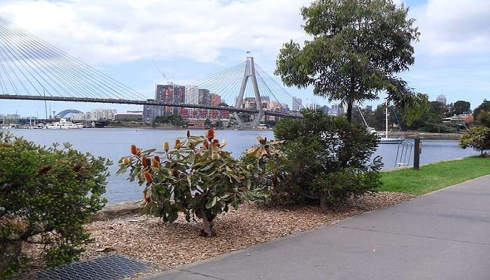 The Glebe Foreshore Walk stretches from Bicentennial Park to the Sydney Fish Markets