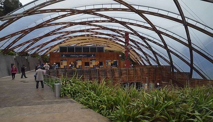 Inside Waitomo Glowworm Caves main entrance.