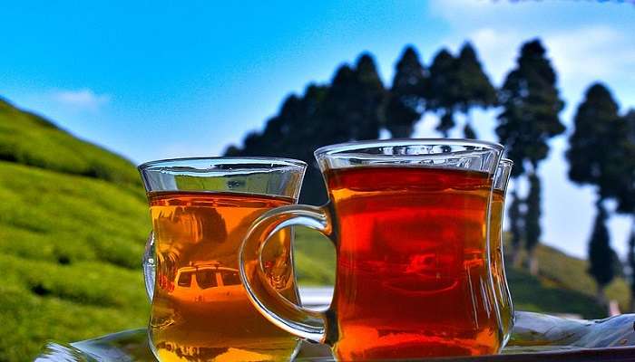 Tea connoisseurs can taste tea at the Gopaldhara Tea Estate.