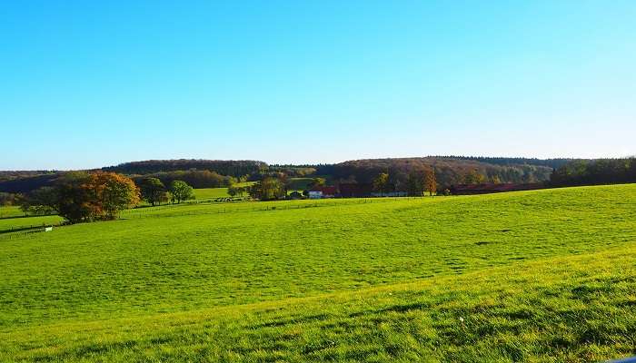 Grazed and grown farm in Wauchope