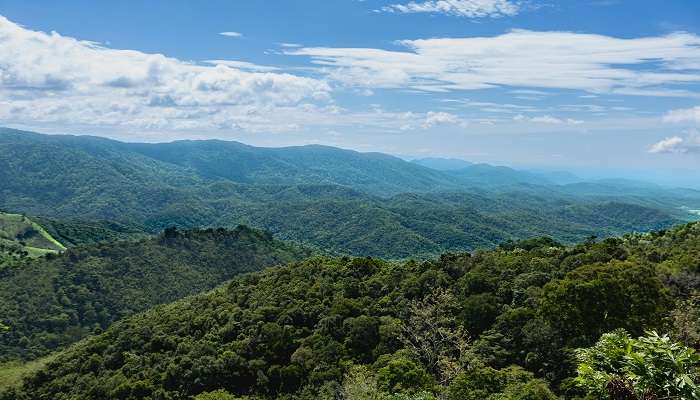 Essential details about Green Valley Viewpoint