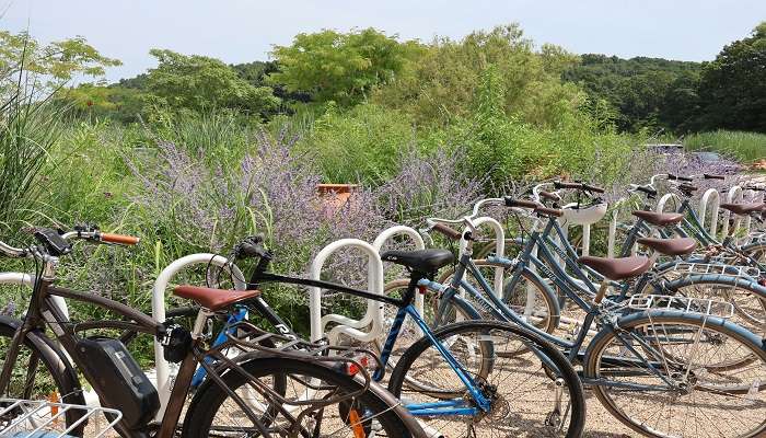 Guided Bike Tour Around Ovo Castle