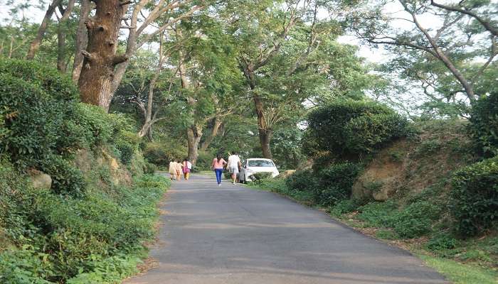  Guide tour around dambatenne tea factory sri lanka