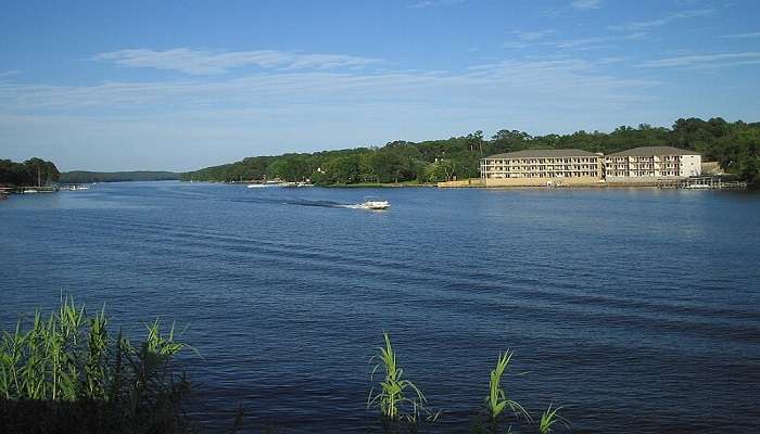 Hamilton Lake Domain