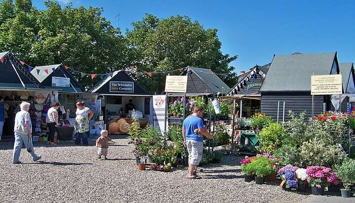 Discover the local flavours at Harbourside Market