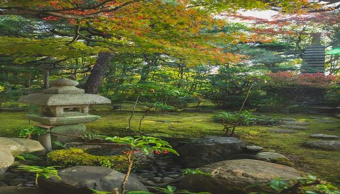 Garden with stones and trees