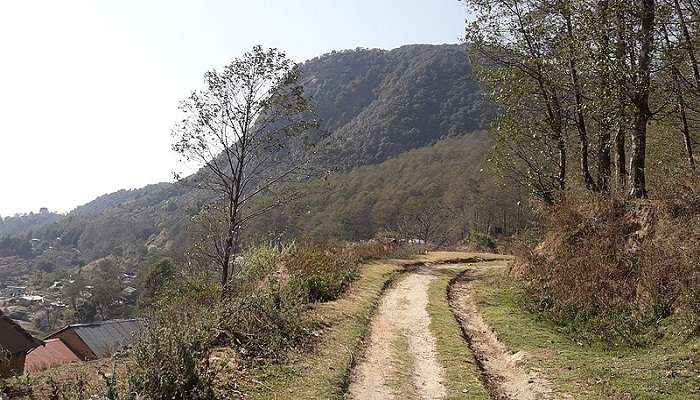 Hiking through the picturesque trails of Shivapuri Nagarjun National Park flanked verdant trees. 