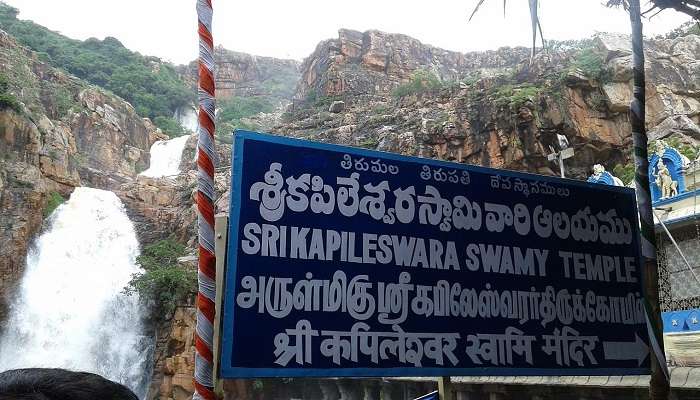 Take a moment of peace and reflection at Kapila Theertham Temple.