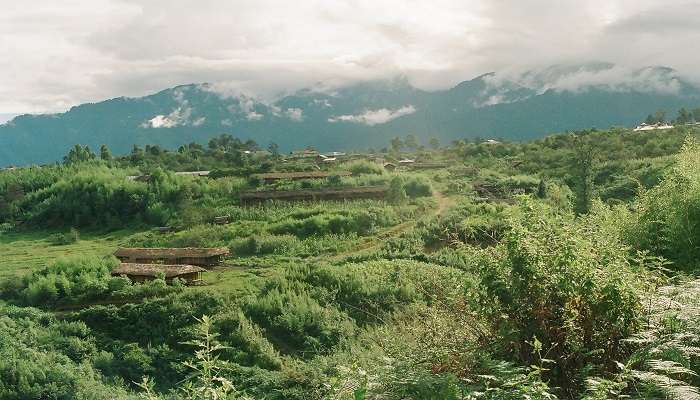 Scenic view of Anini town surrounded by lush green mountains