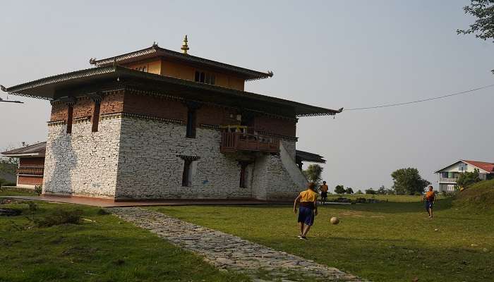 Rice fields of Kaluk Sikkim.