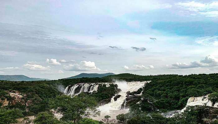 Along, with the magnificent view of the cascading falls, Shivanasamudra falls stands on river Kaveri