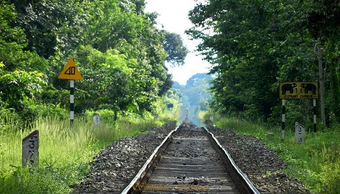 Explore Hoolongapar Gibbon Wildlife Sanctuary view is one of the places to visit in Jorhat