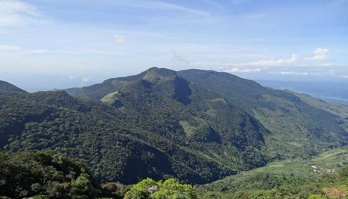  Horton Plains National Park