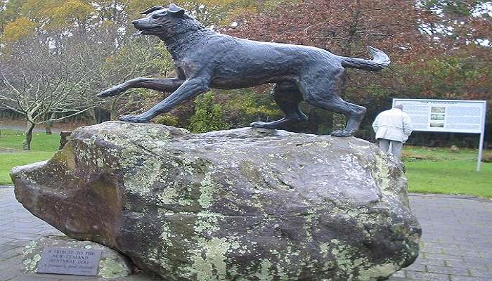 The Dog Statue is also known as Hunterway.