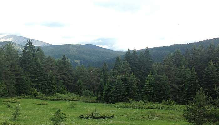  Ilgaz Mountain National Park, Kastamonu