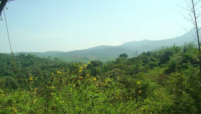 Eco-friendly cottages and lush green are apt for ecotourism.