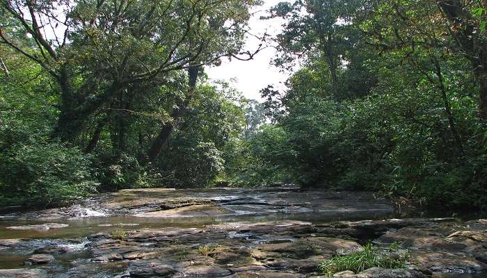 This is a trekking trail that passes through the thick lyrical forests of Illithode.