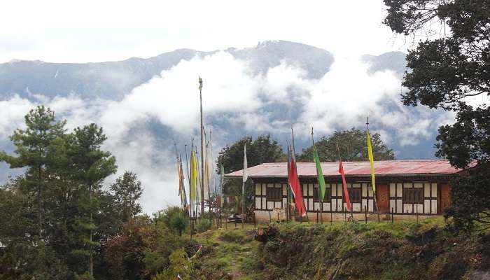 Prayer flags at Kyichu Lhakhang Temple in Paro Valley. 