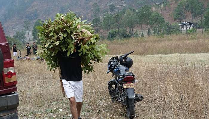 Farmer at Horticulture Farm in Mongar