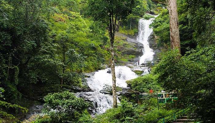 Mesmerising Iruppu Falls near Brahmagiri Hills