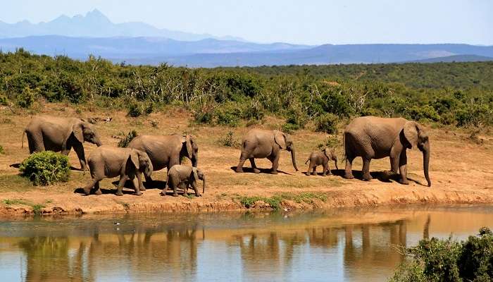 See wildlife at the Itanagar Wildlife Sanctuary, one of the top tourist places in Itanagar.