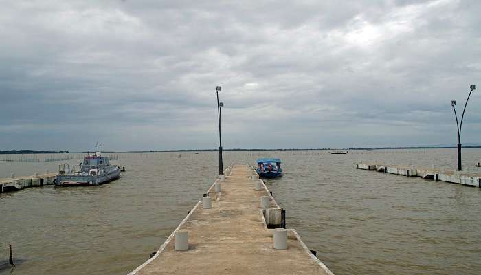 Boats anchored at Satapada, Chilika Lake