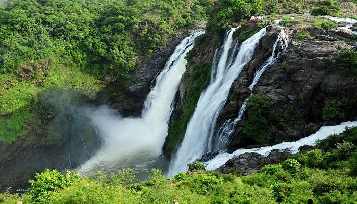 Celebrate the glory of the waterfalls during Jalapath Utsav