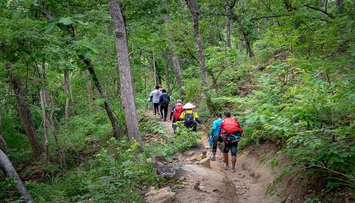 Go on a jungle walk at the Nameri National Park