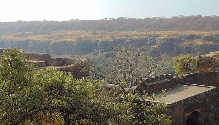 A view from the top of Kachida Valley to visit near the Jogi Mahal.