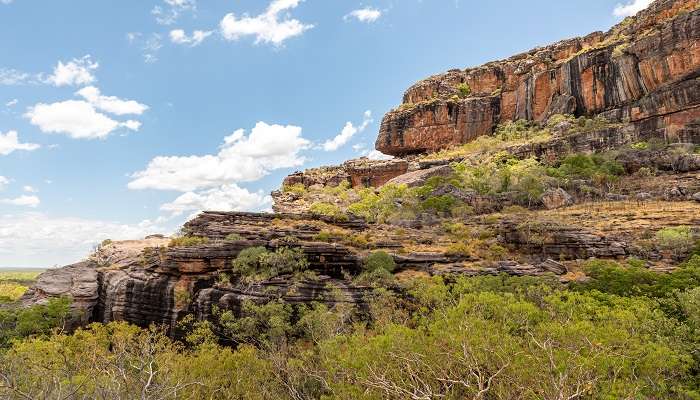  Lush green beauty of the Kakadu National Park, things to do in Darwin