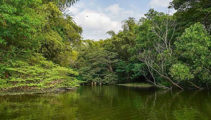 Wonderful beauty of karanji Lake 