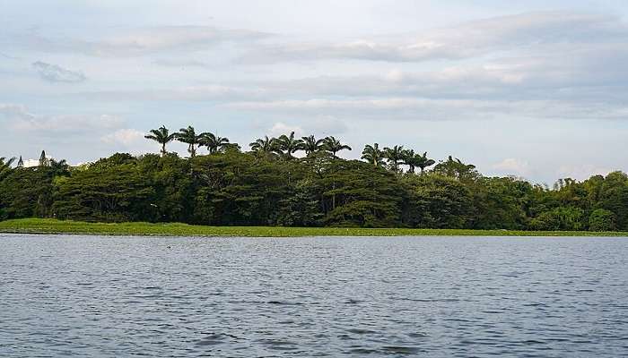 Amazing beauty of karanji Lake near Saraswathipuram