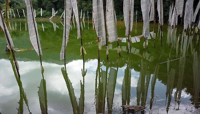 Aerial view of the Kathok lake surrounded by greenery in Yuksom