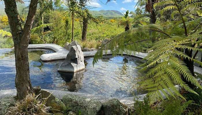 Hotbeds for relaxation in Kawerau, promoting peace. 