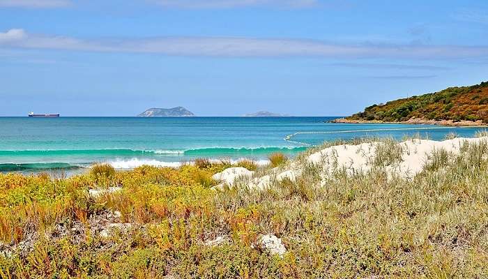 Ellen Cove, Middleton Beach, Albany