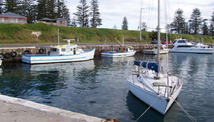 Peaceful view of Harbour with boats