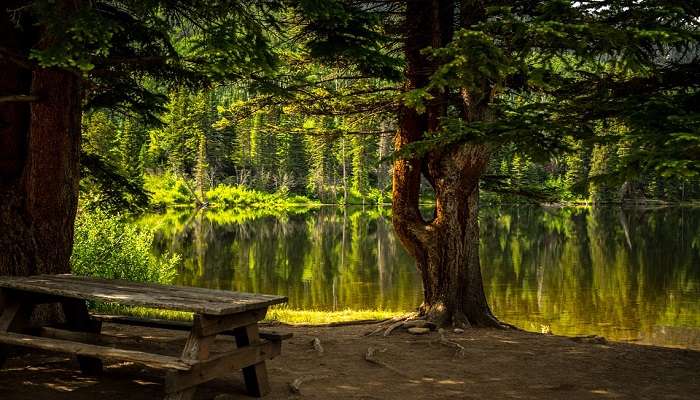 A park with a bench to rest.