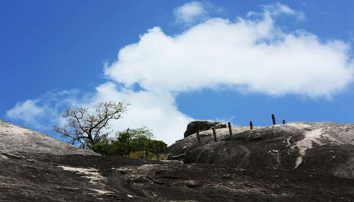 Visit Kudumbigala Monastery for a great adventure