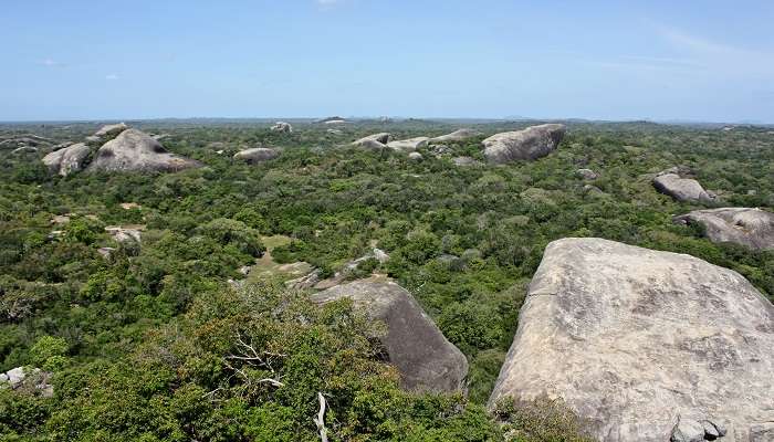 Important details about Kumana National Park