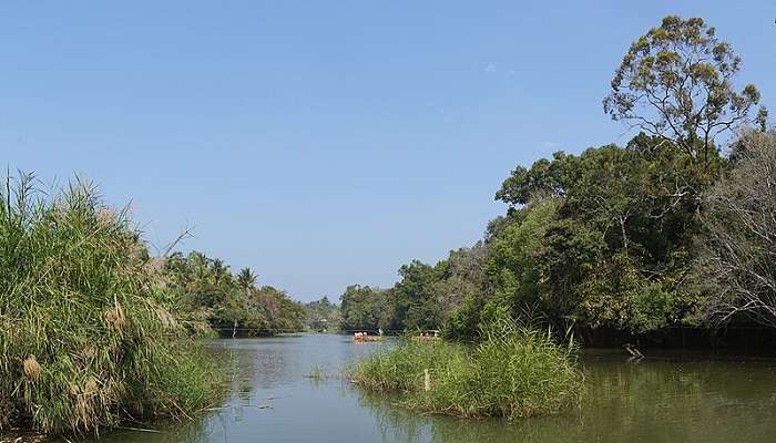 View of Kuruva Dweep