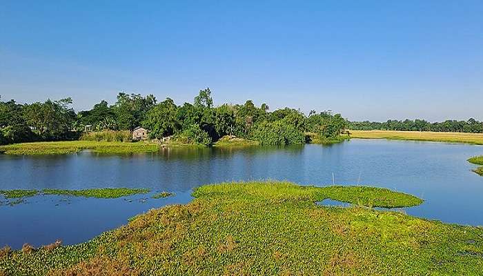 One of the top places to visit in Jorhat include Majuli Island, known for its scenic beauty.