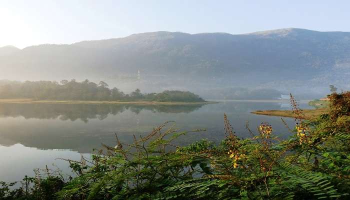 The beautiful Malankara Dam in Ernakulam district 