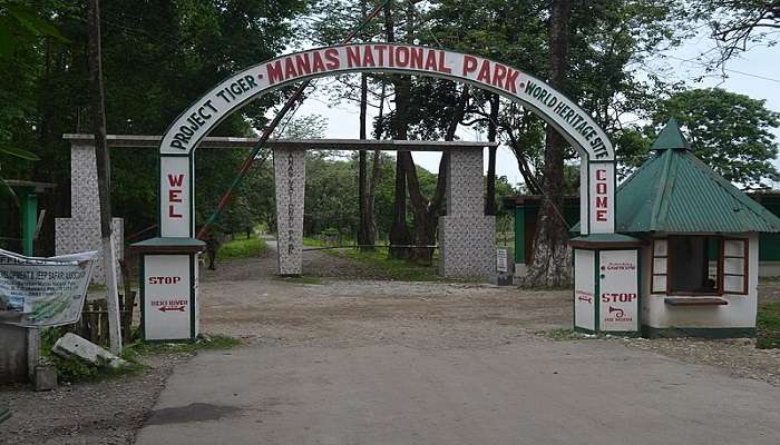 See elephants at the Manas National Park, one of the top tourist places in Bongaigaon.