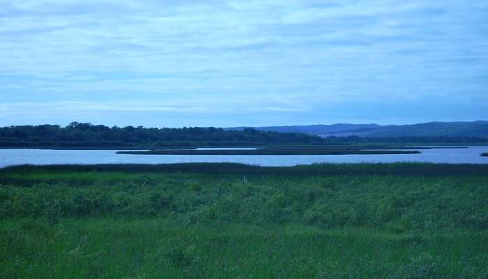 Black necked stork in the Mary River Wetlands, one pf the best things to do in Darwin