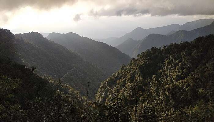 Take a hike to the Mayudia Pass with pine trees is among the best places to visit in Roing