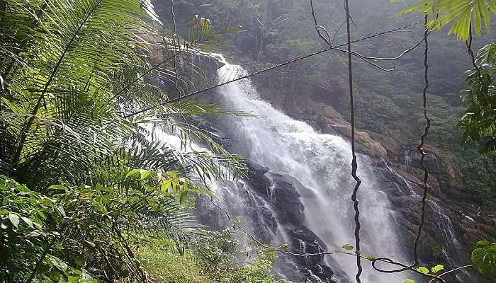 The scenic view of Meenmutty Falls