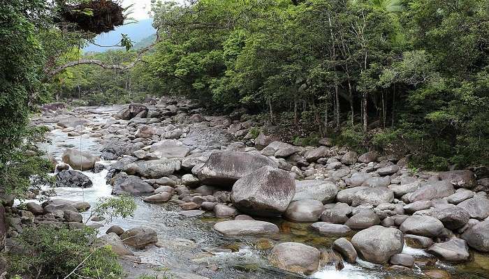 Visit Mossman Gorge near Daintree National Park